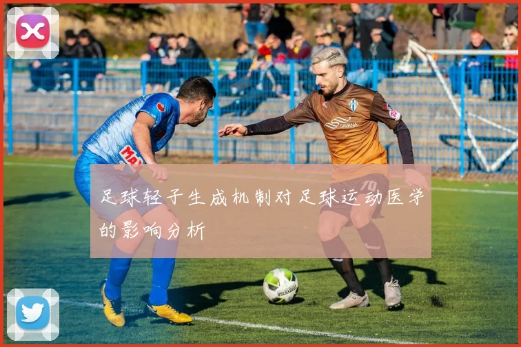 足球轻子生成机制对足球运动医学的影响分析